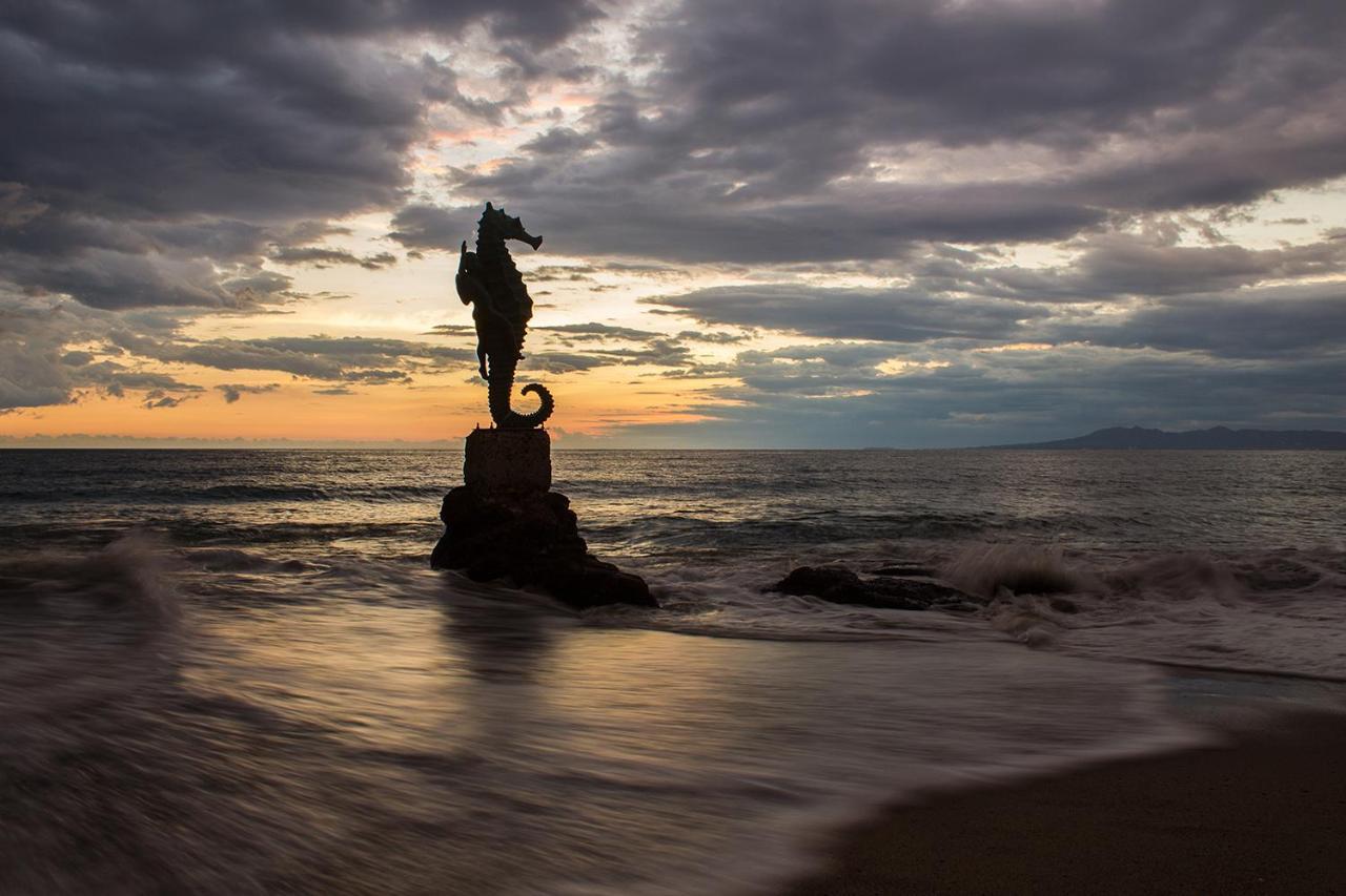 Departamento De Lujo, Puerto Vallarta. Mexico Eksteriør bilde